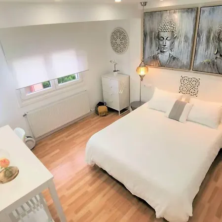 Acogedor Estudio Centro Apartment *