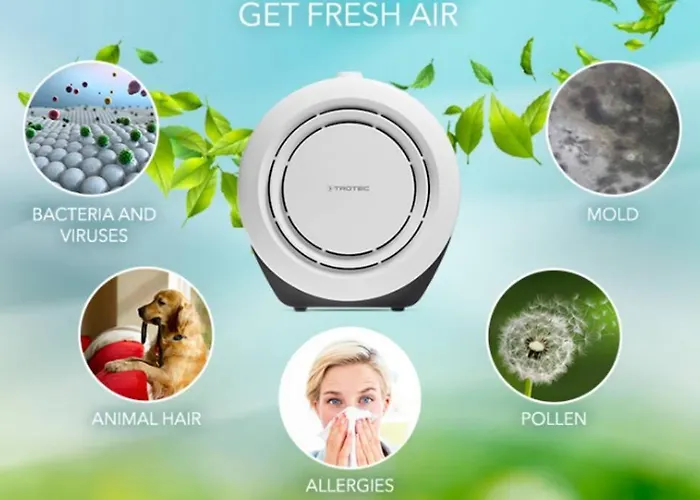 Apartment Acogedor Estudio Centro Pontevedra